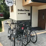 Dzika Owca Appartamento