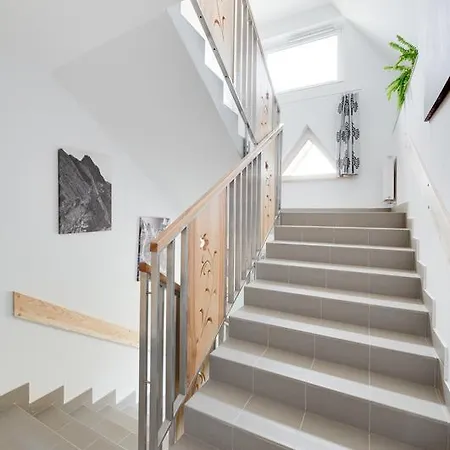 Dzika Owca ザコパネ