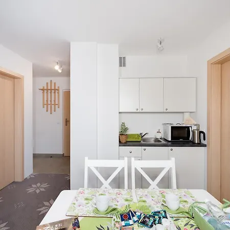 Dzika Owca ザコパネ