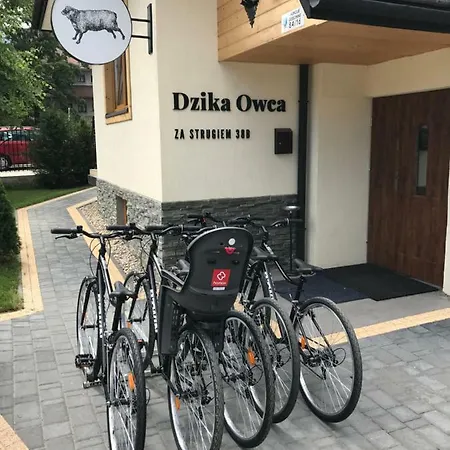 Dzika Owca アパート