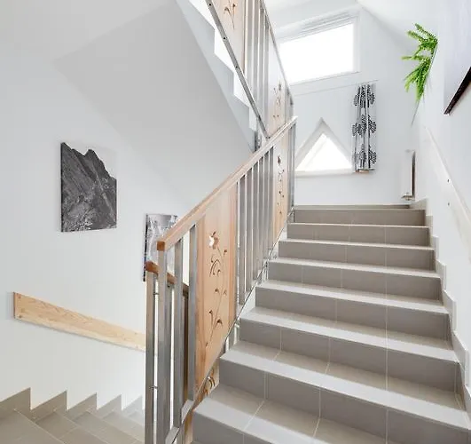 Dzika Owca 扎科帕内