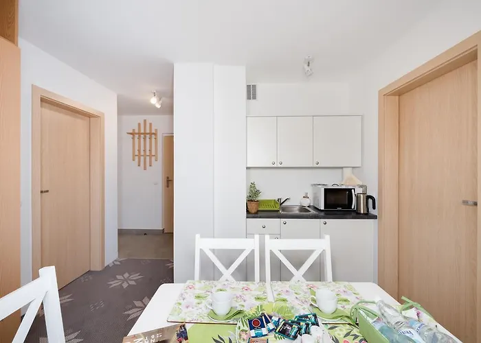 Dzika Owca 扎科帕内