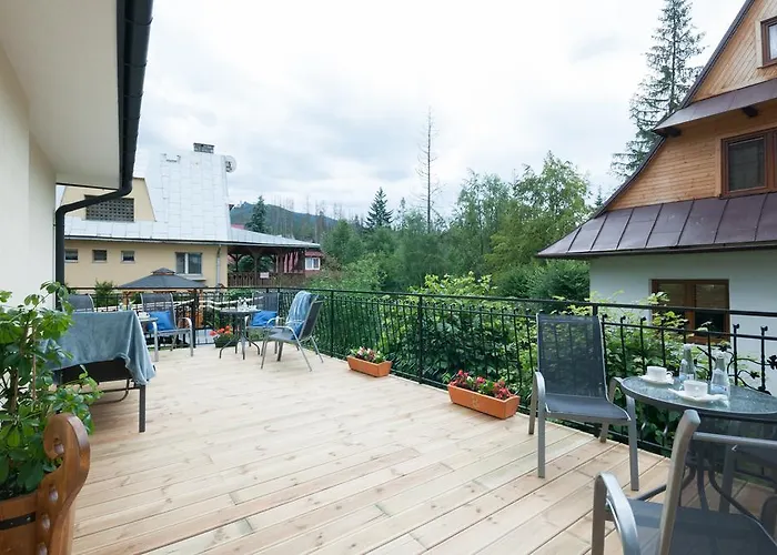 Dzika Owca 扎科帕内