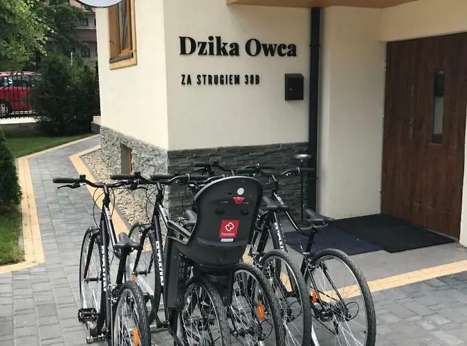 Dzika Owca Appartamento
